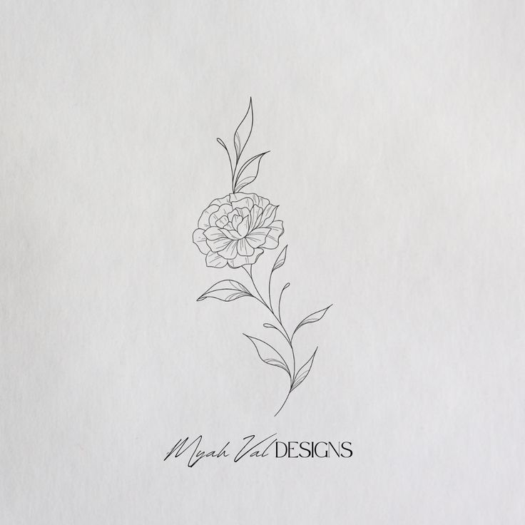 a pencil drawing of a flower on paper