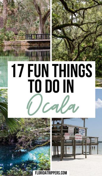 some trees and water with the words 17 fun things to do in ocala