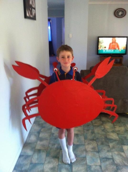 a young boy holding up a red crab costume in front of a tv screen and television