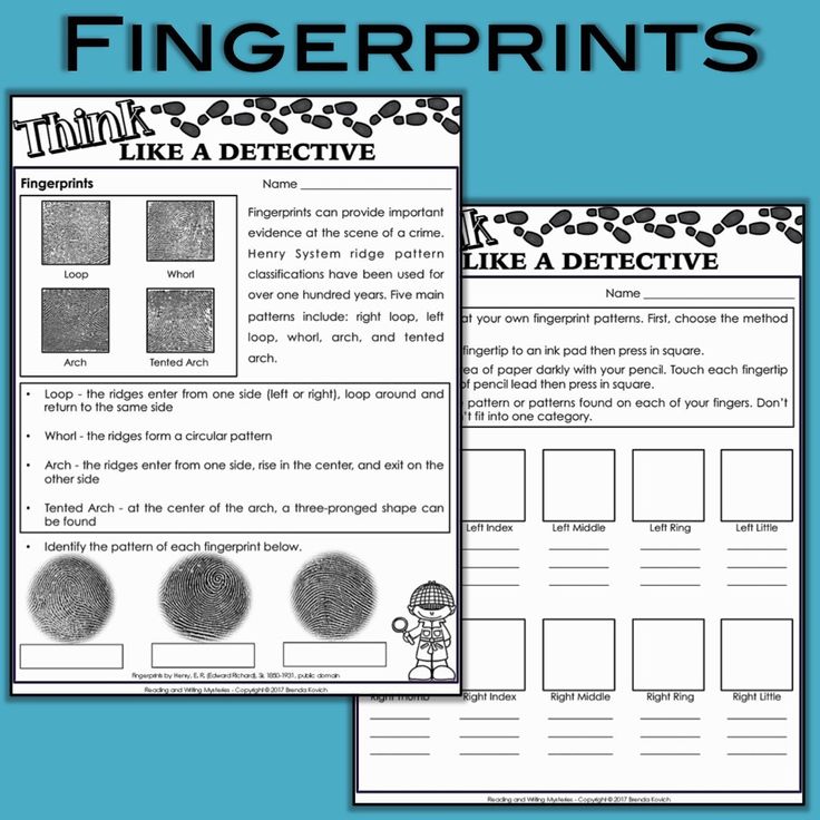 fingerprints worksheet with the words like a detective