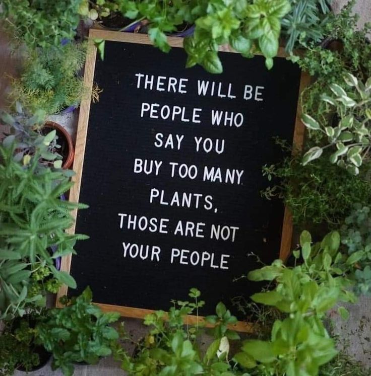 there is a sign that says there will be people who say you buy too many plants, those are not your people