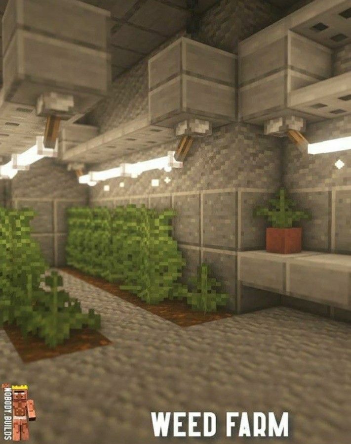 a very nice looking room with some plants in it