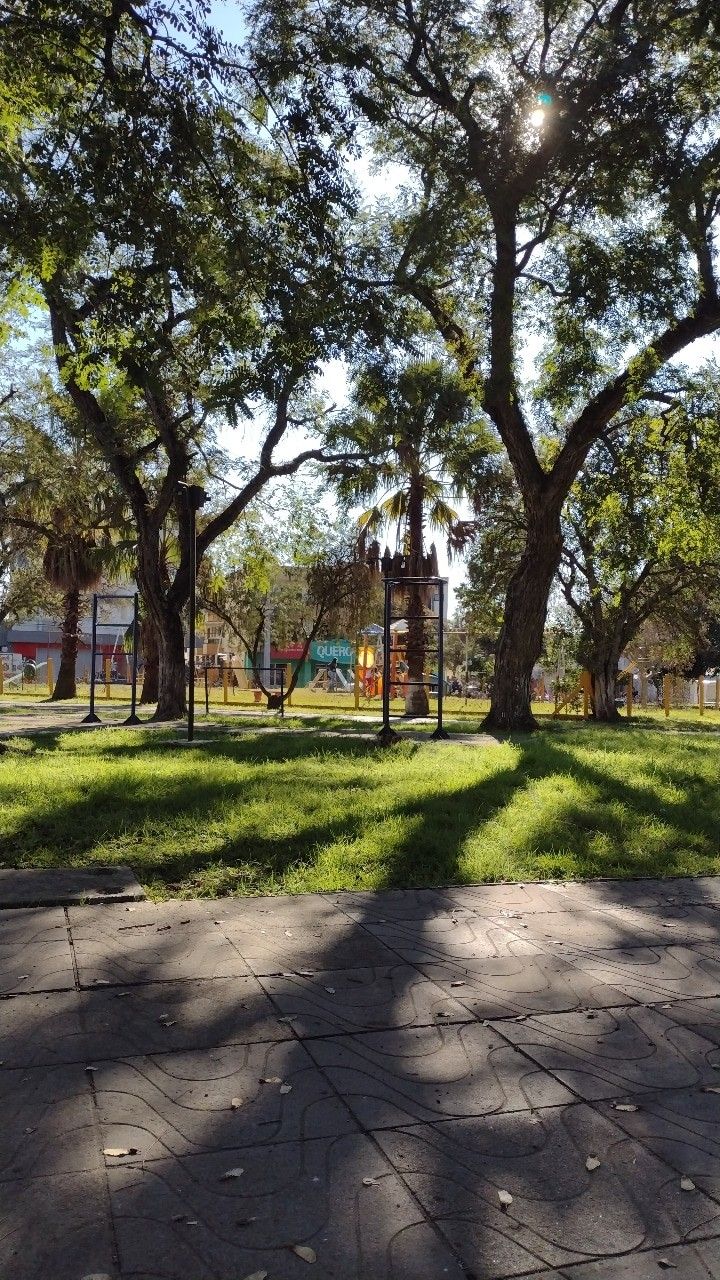 the sun shines brightly through the trees in this park