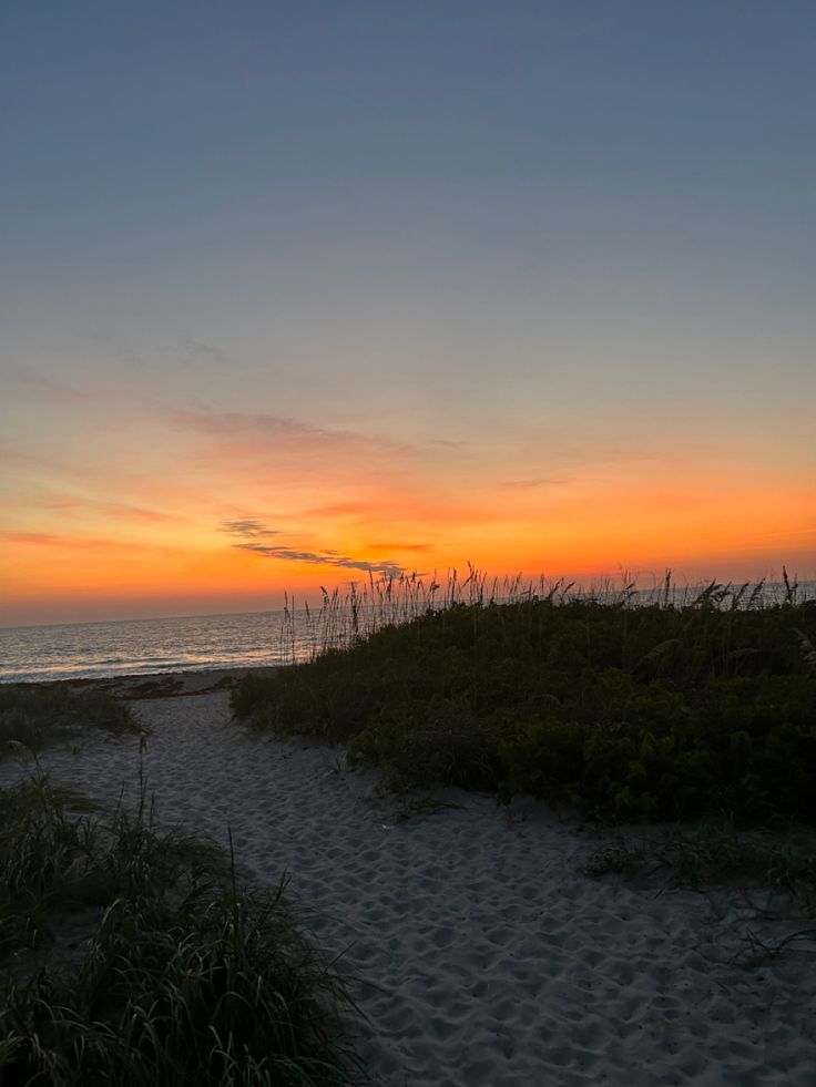 the sun is setting at the beach with sea oats in the foreground and grass on the sand