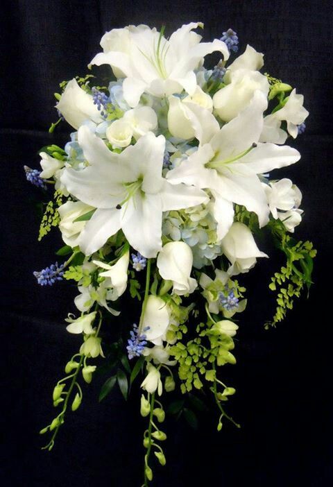 a bouquet of white flowers on a black background