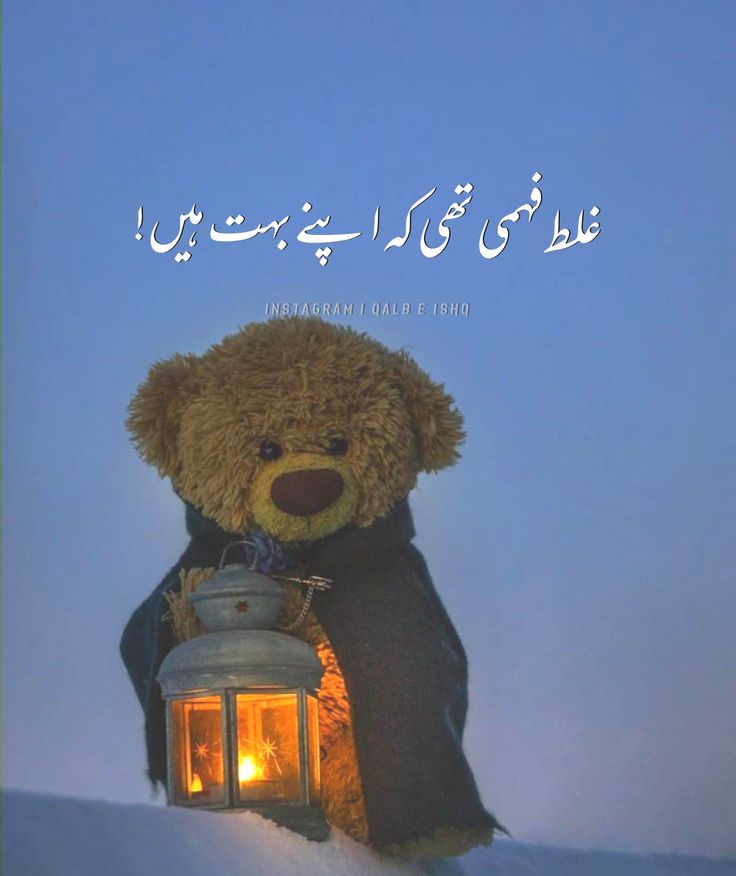 a teddy bear holding a lantern in the snow