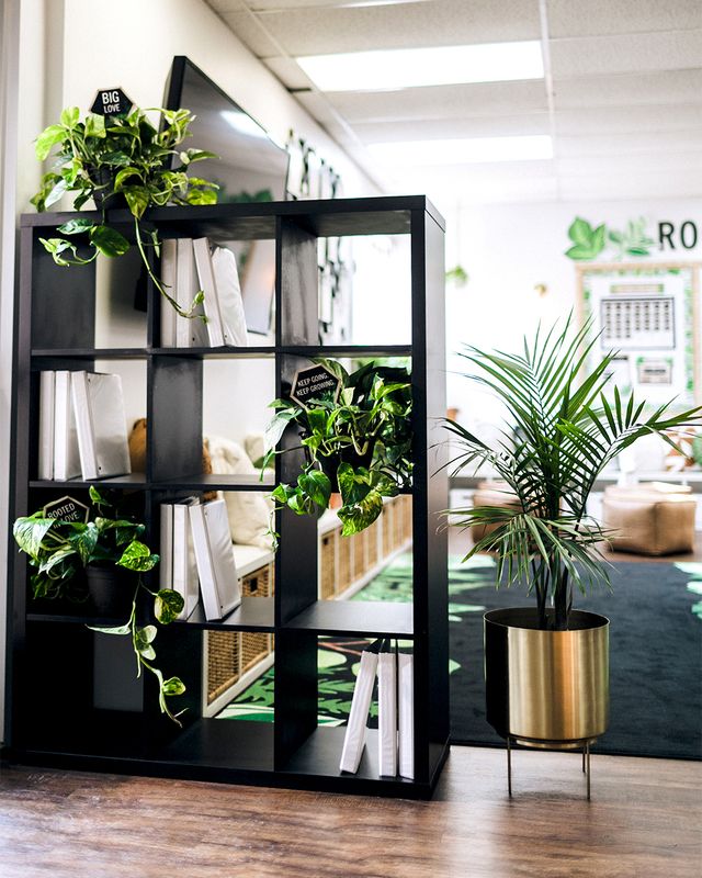 an office filled with plants and books on shelves