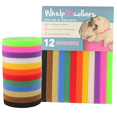 multicolored wristbands for dogs and cats