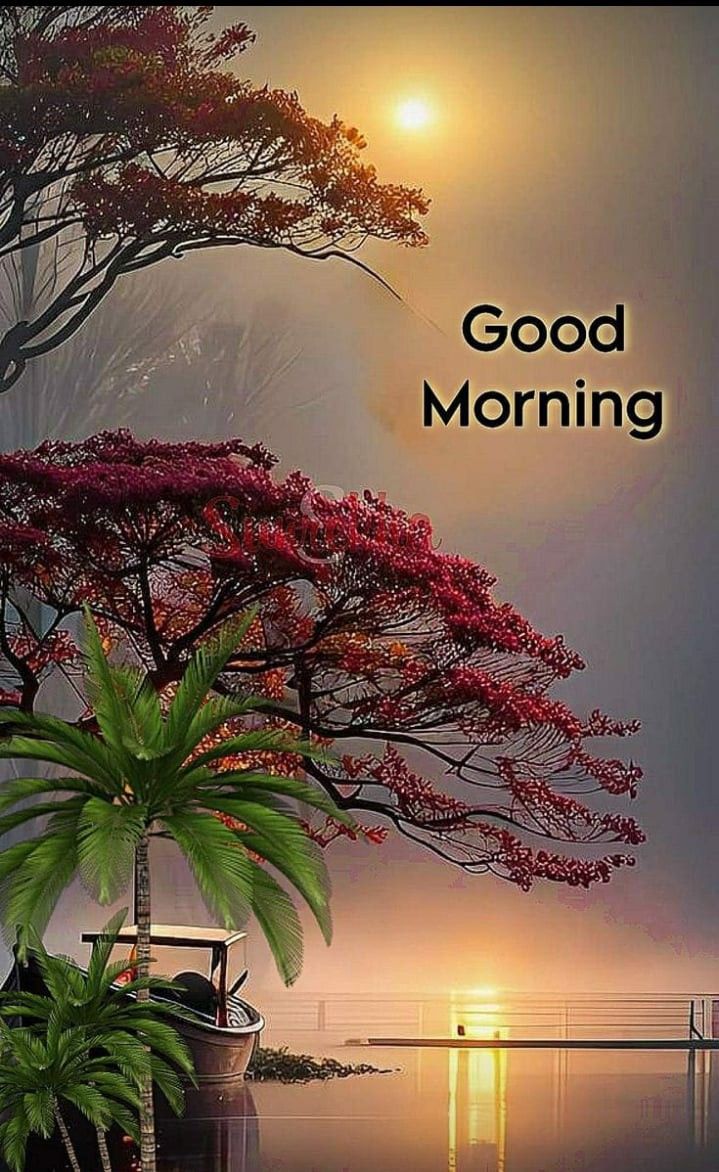 the words good morning are in front of an image of a tree with red flowers