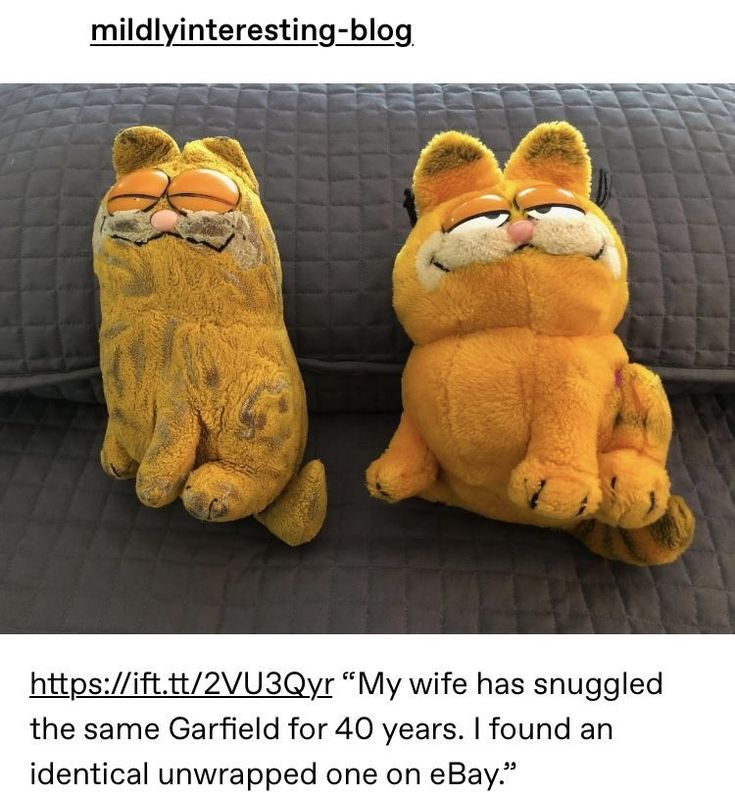 two stuffed cats sitting next to each other on top of a couch with caption