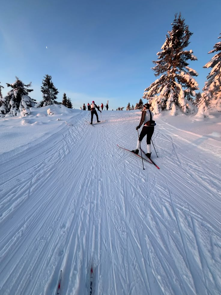 cross country skiers make their way through the snow