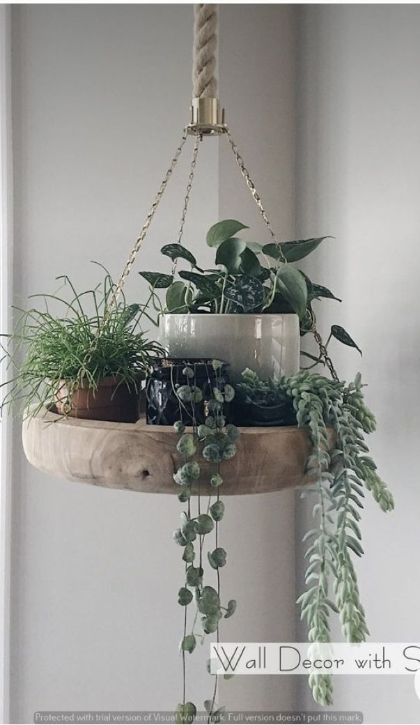 a hanging planter filled with potted plants