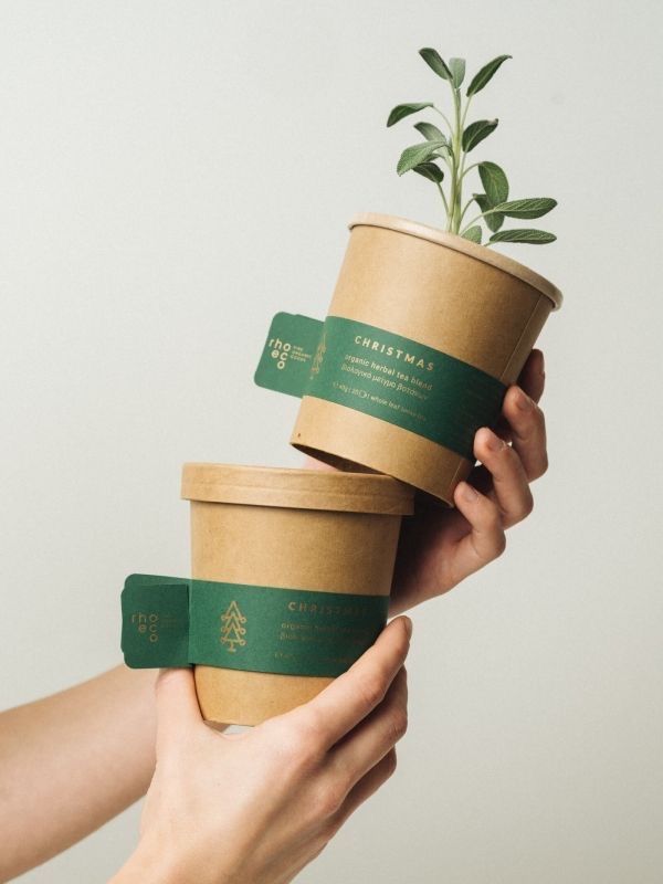 two hands holding three cups with plants in them