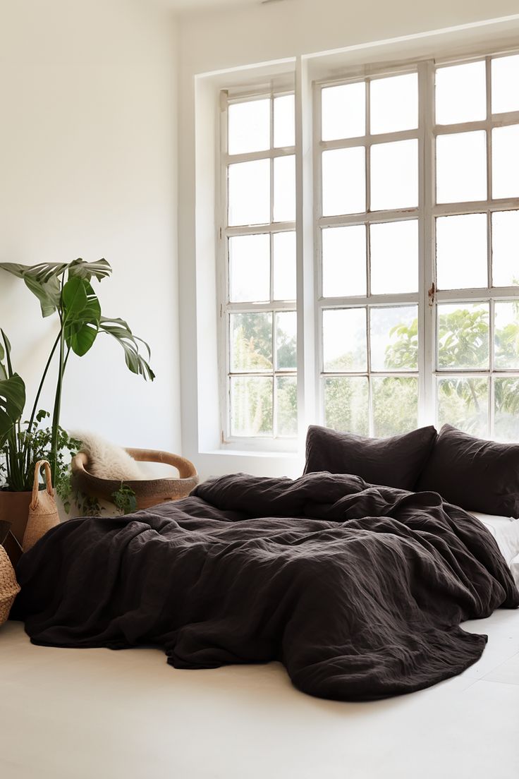 an unmade bed in front of two large windows with potted plants next to it