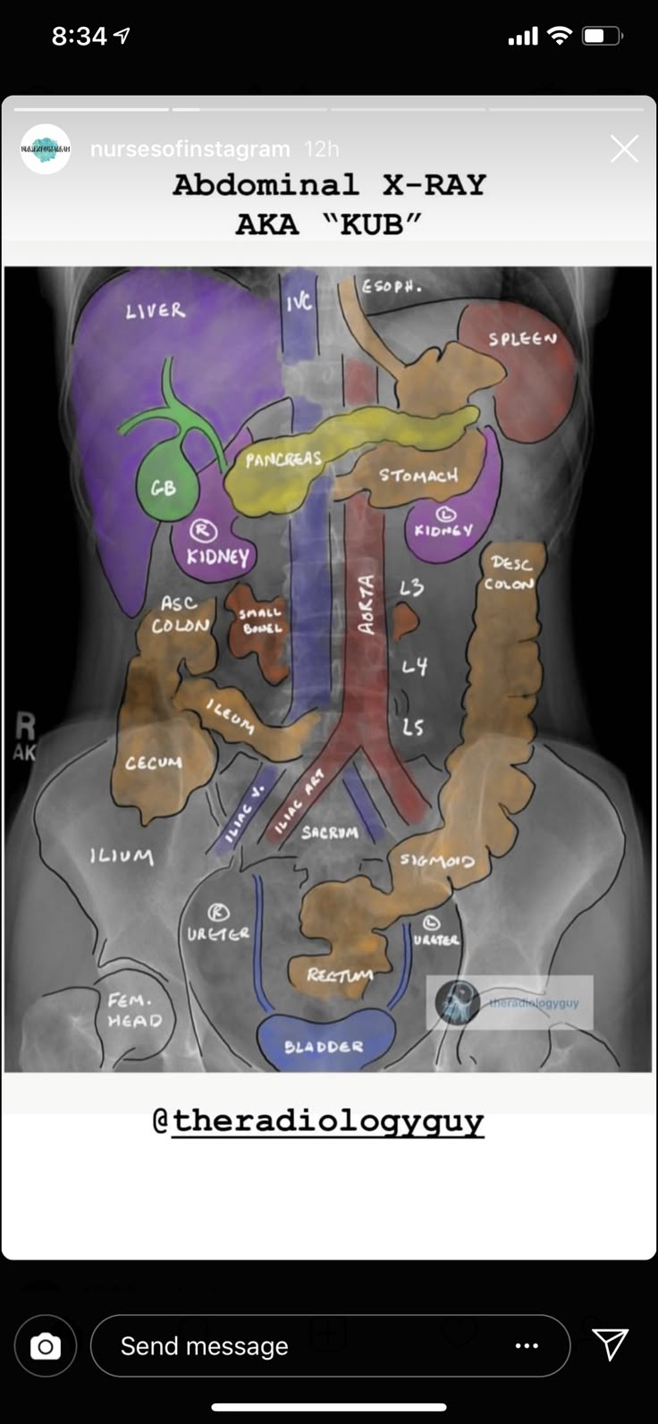 the radiology app shows an overview of the human body's organs and their functions