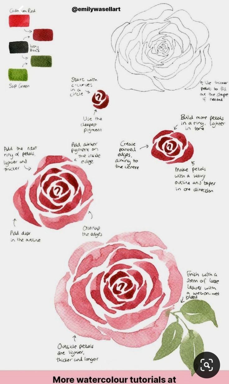 some red and green watercolors are being used to paint roses in different colors