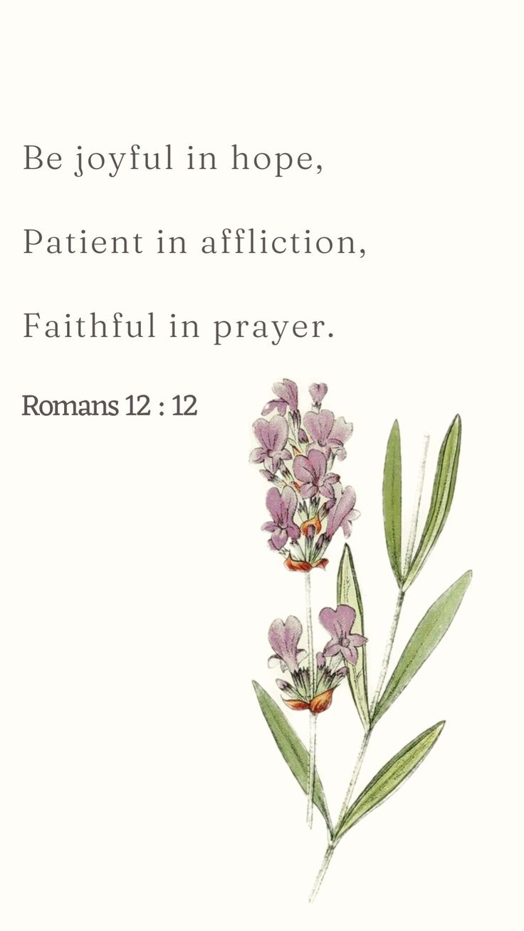 flowers with the words be joyful in hope, patient in affection, faith in prayer romans