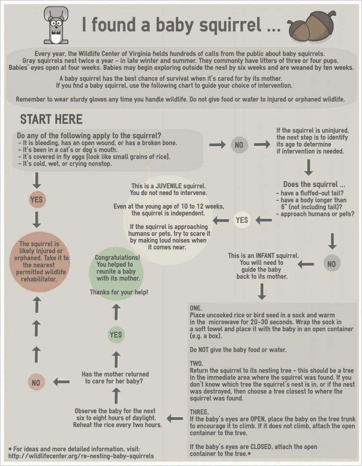 an info sheet with instructions on how to use the baby's name and numbers