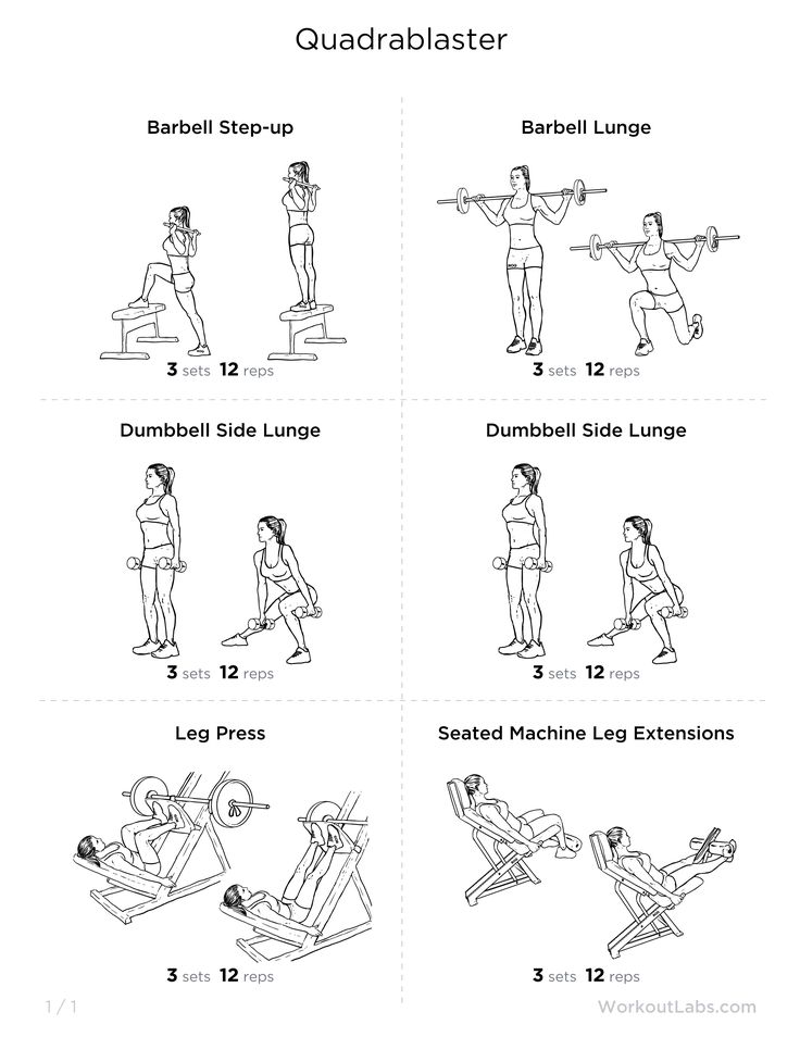 the lower body workout chart shows how to use dumbbells and bench presss