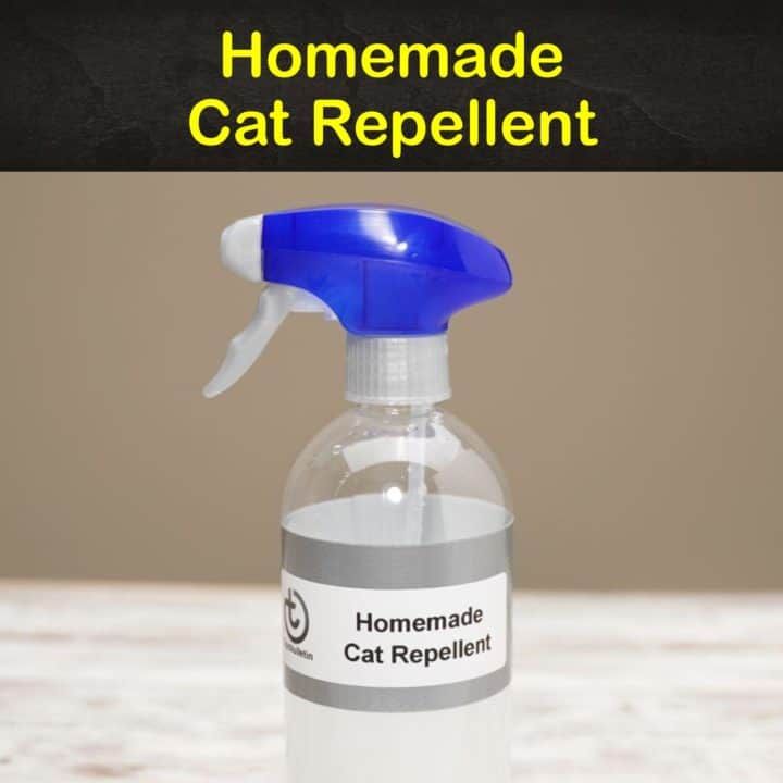 a bottle of cat repellent with the words homemade cat repellent on it