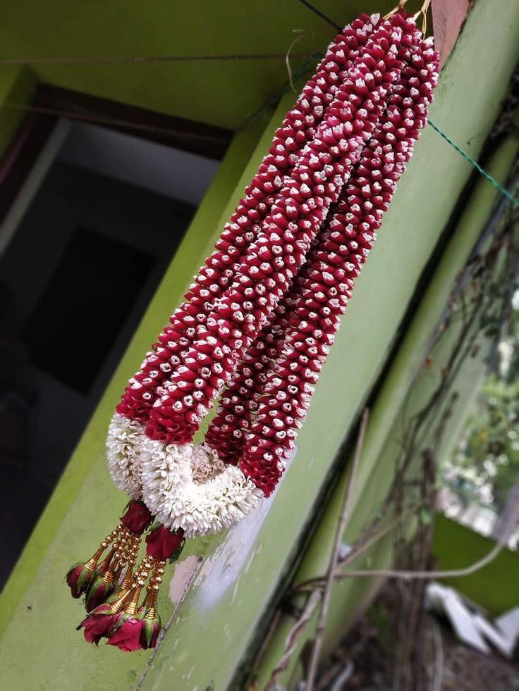 red and white flowers hanging from the side of a green building with vines on it