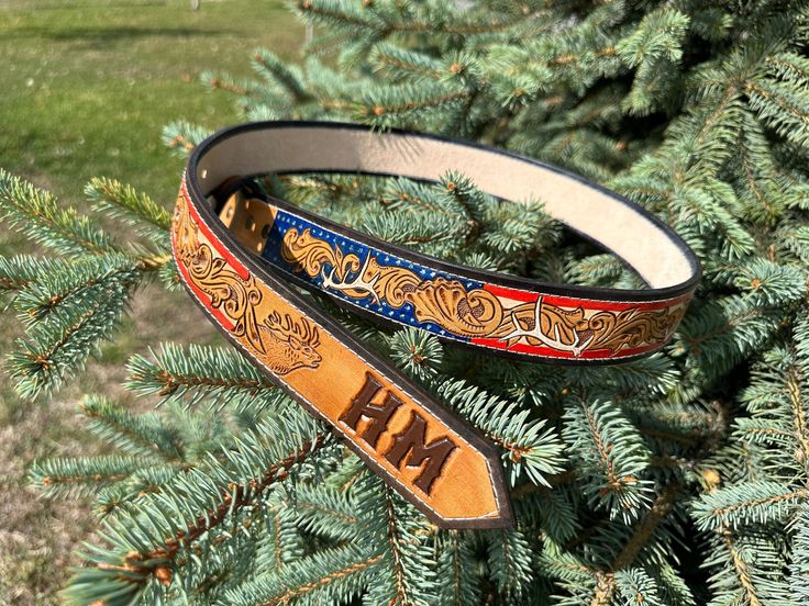 a pair of leather wristbands sitting on top of a tree