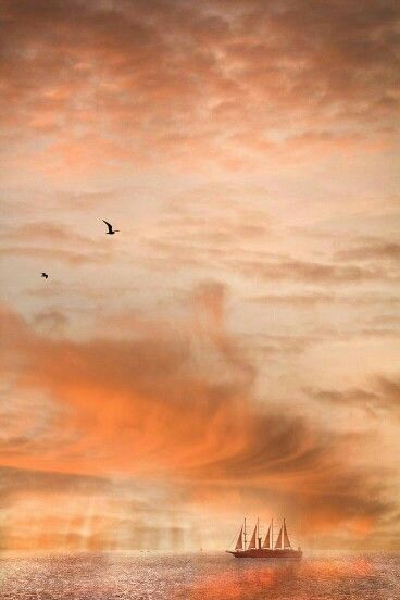 a sailboat sailing in the ocean under a cloudy sky with birds flying over it