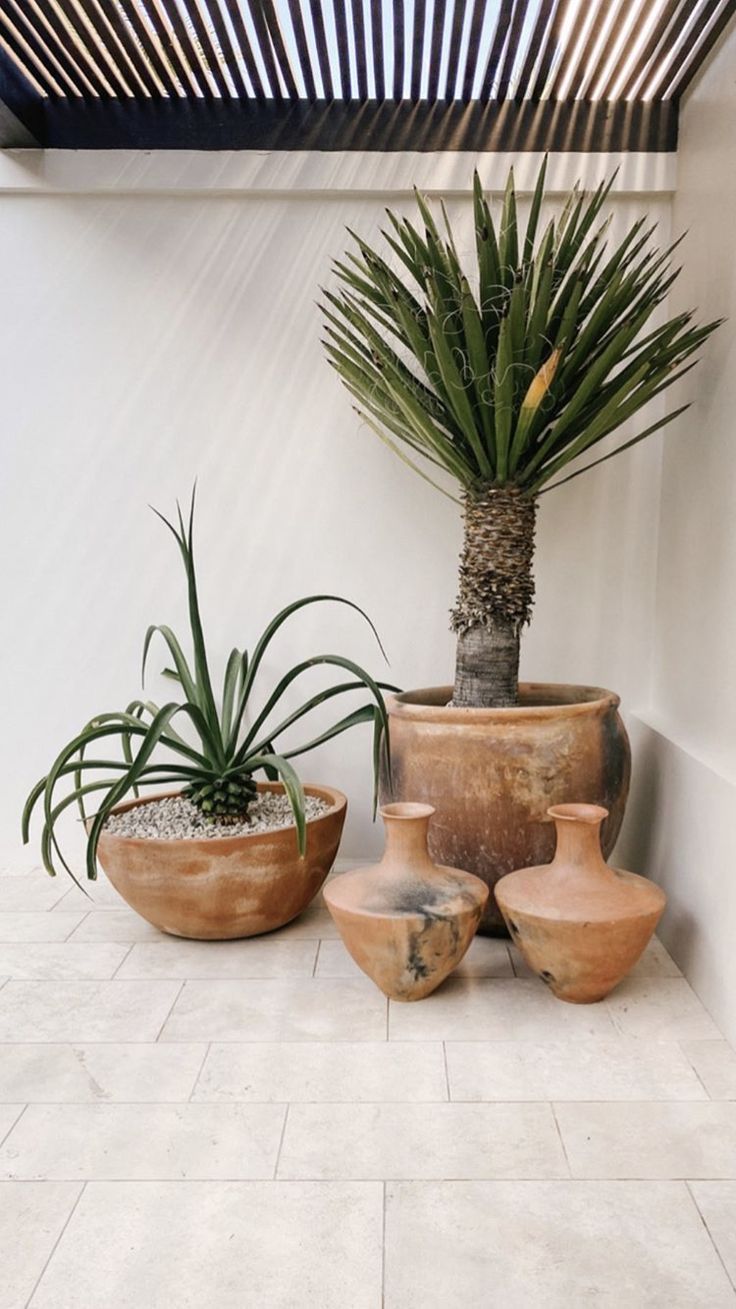 three potted plants sitting on top of a white tiled floor next to each other