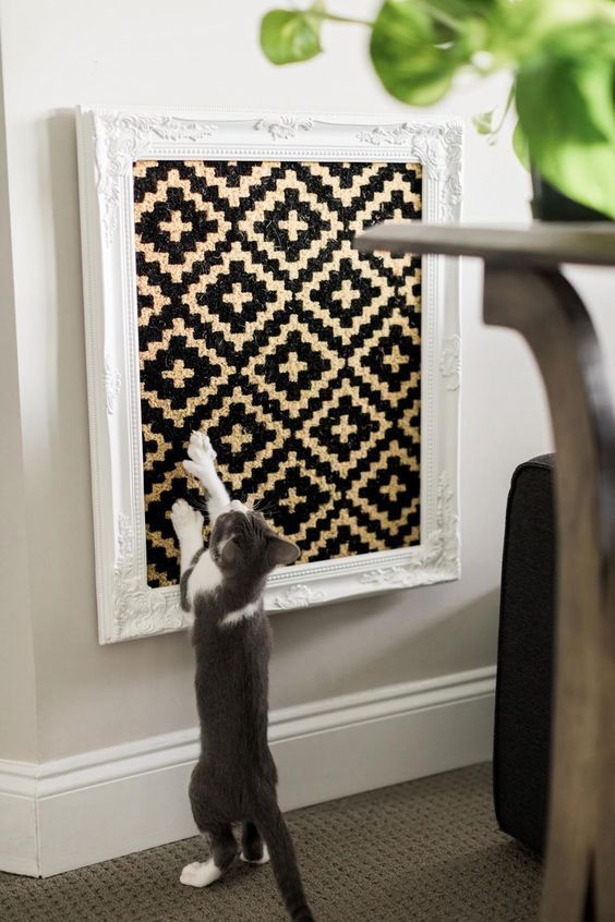 a cat standing on its hind legs in front of a wall with a black and white pattern