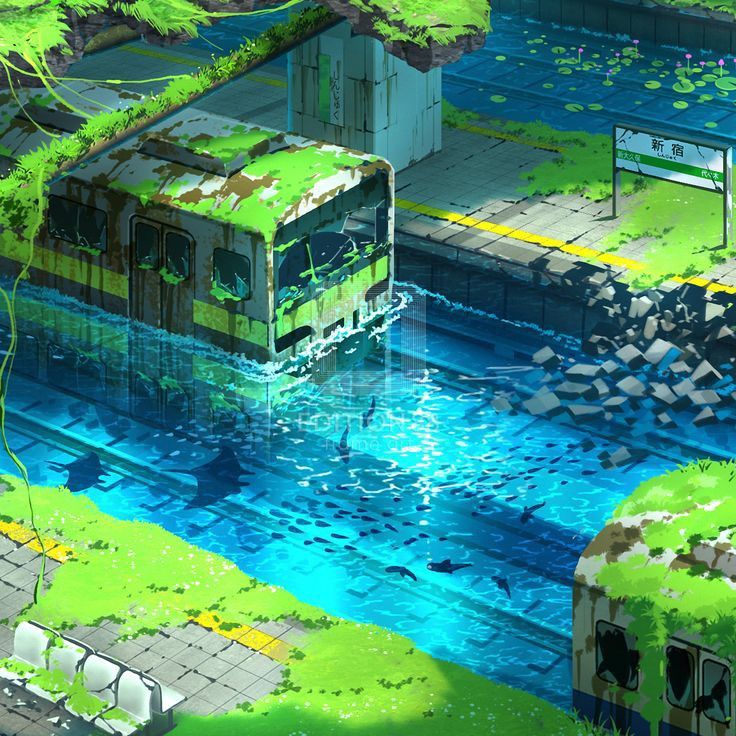 a bus that is sitting in the water near some grass and trees on either side of it