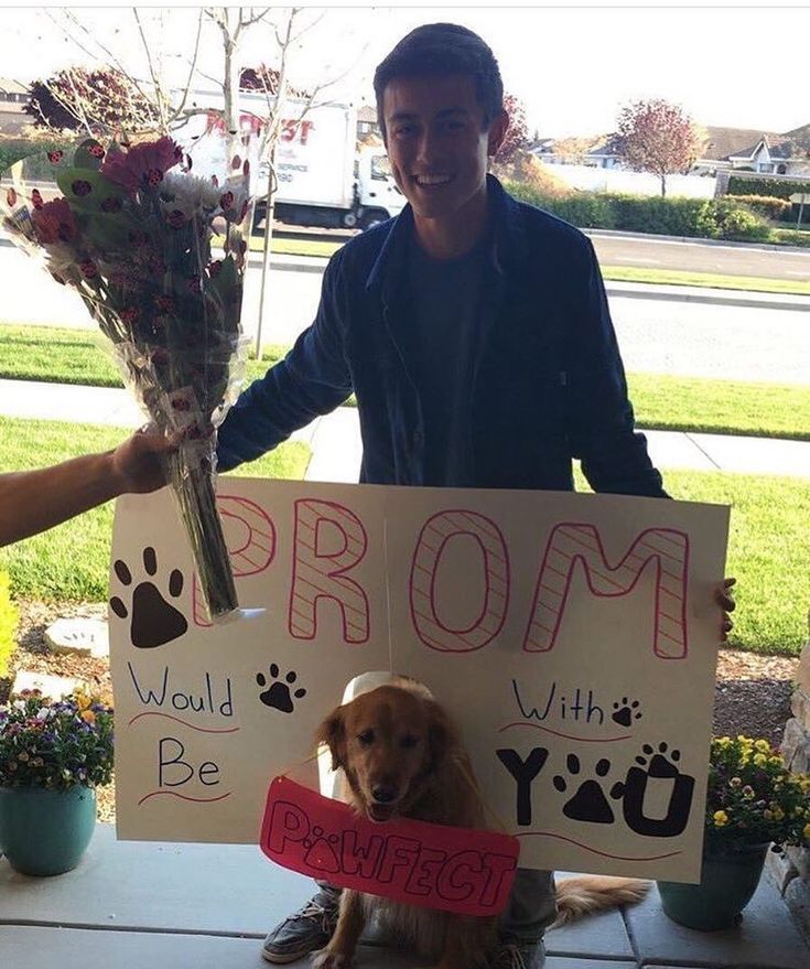 a man standing next to a dog holding flowers and a sign that says prom with you