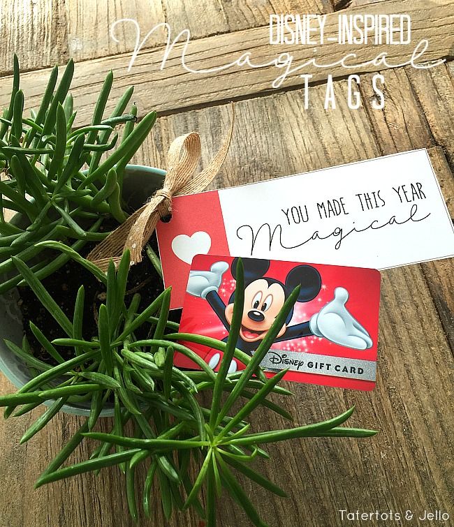 a potted plant with a mickey mouse tag attached to it's side on a wooden table