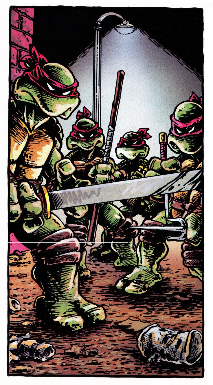 an image of teenage mutant ninjas with swords in their hands and turtles on their backs