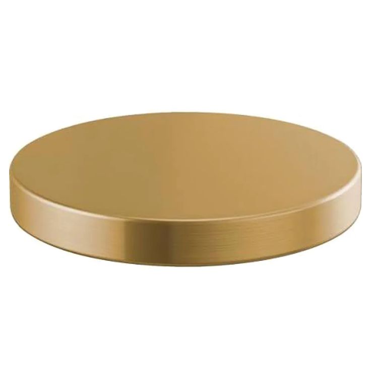 a round brass plate on a white background