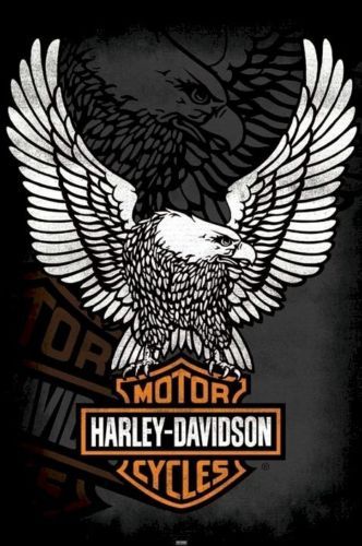 the harley davidson logo with an eagle on it's back and two crossed wings