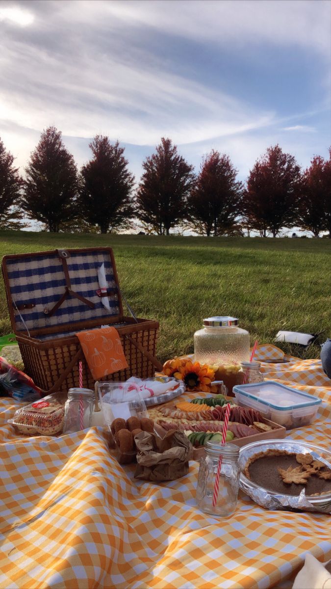 a picnic table with food and drinks on it in the middle of a grassy field