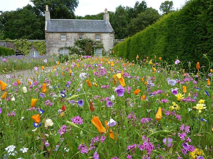 a field full of colorful flowers next to a stone house with hedges in the background