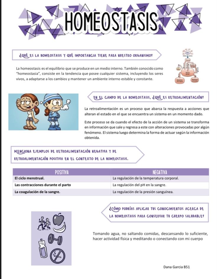 the homeostais page in spanish, with instructions for how to use it and what to