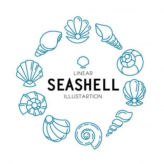 the logo for linear seashell illustrations