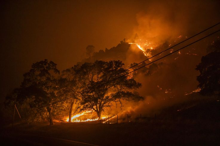 a fire blazing in the night sky with trees and power lines on either side of it