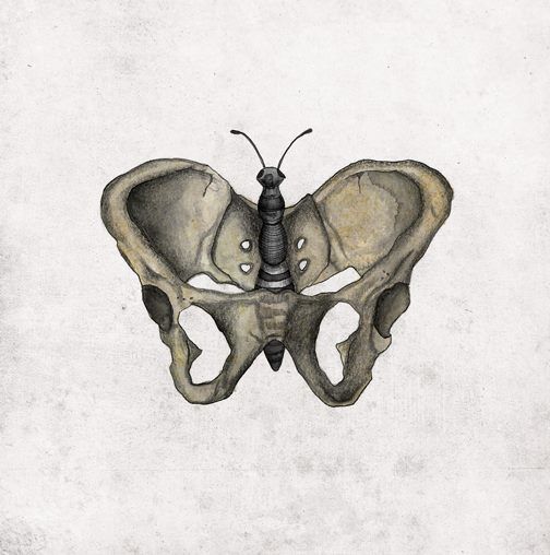 a drawing of a butterfly sitting on top of a bone