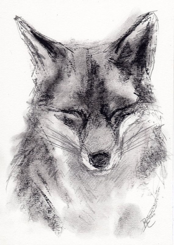 a black and white drawing of a fox's head with its eyes closed in front of the viewer