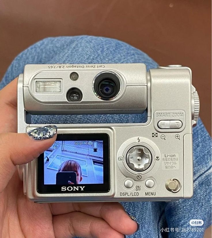 a person holding up a camera with the image on it's screen in their hand