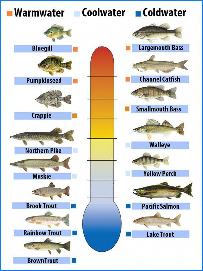 Fishing Barometric Pressure Chart