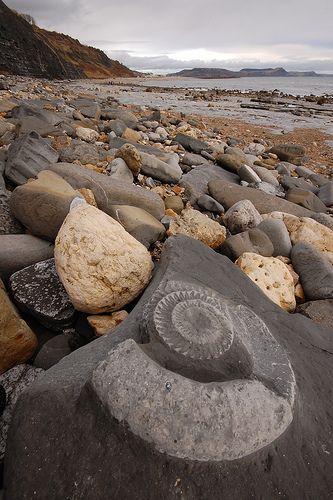 some rocks and sand on the beach with water in the backgroung behind them