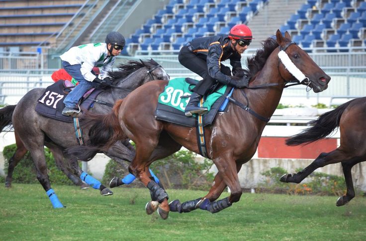 three jockeys are racing horses on the track