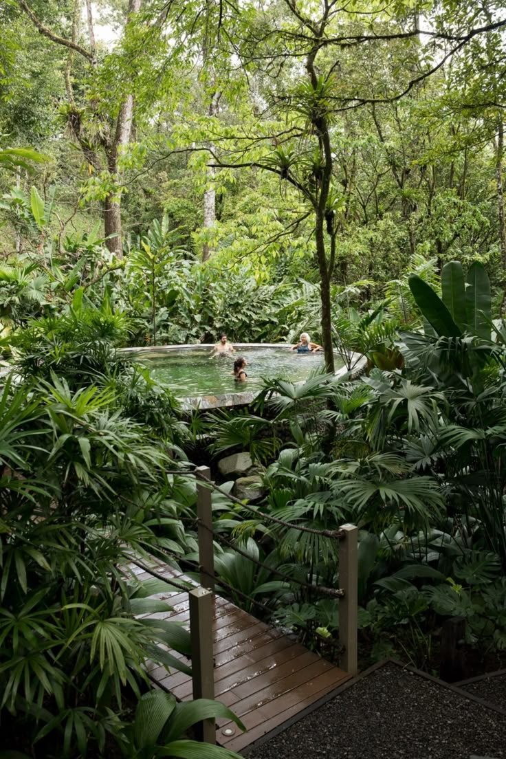 people swimming in a pool surrounded by lush green trees and plants on a wooden deck