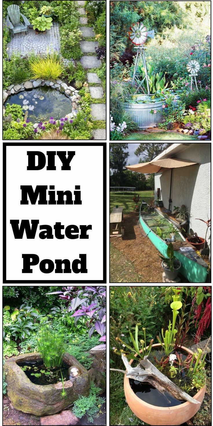 several different pictures with the words diy mini water pond