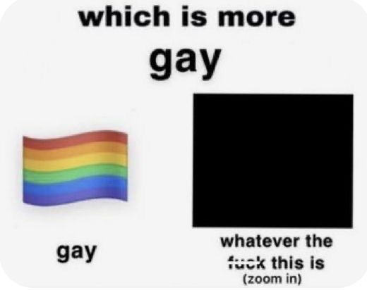 a rainbow flag with the words which is more gay and whatever the f k this is zoom in