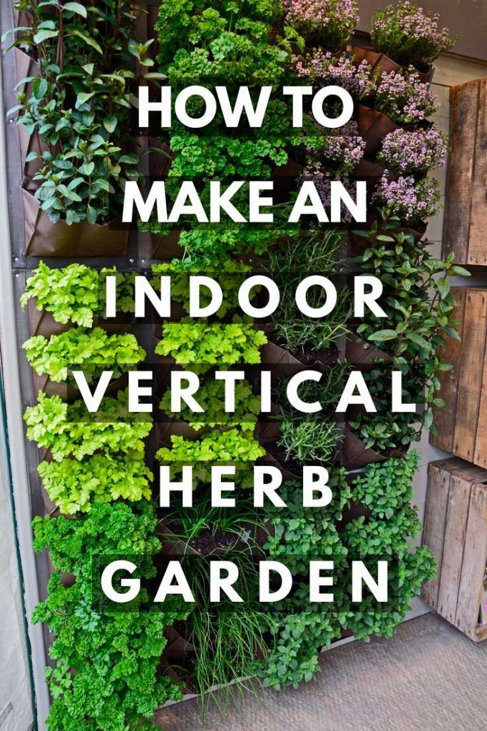 an outdoor vertical herb garden with the words how to make an indoor vertical herb garden